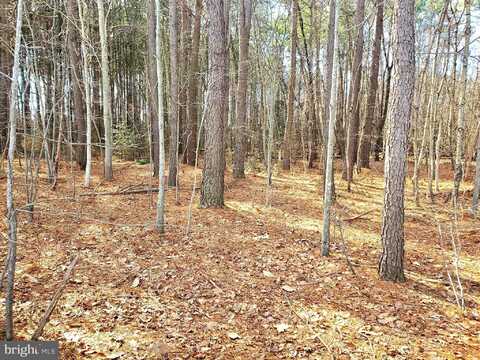 GRAVEL BRANCH ROAD, HURLOCK, MD 21643