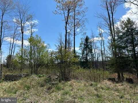 CHERRY RIDGE ROAD (LOT 1), MOUNT STORM, WV 26739