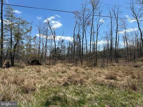 CHERRY RIDGE ROAD (LOT 3), MOUNT STORM, WV 26739