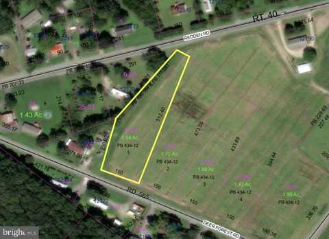 LOT 1 DEER FOREST ROAD, BRIDGEVILLE, DE 19933