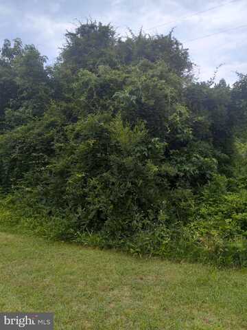 0 LEWIS ESTATES LANE - LOT 5, SPOTSYLVANIA, VA 22551