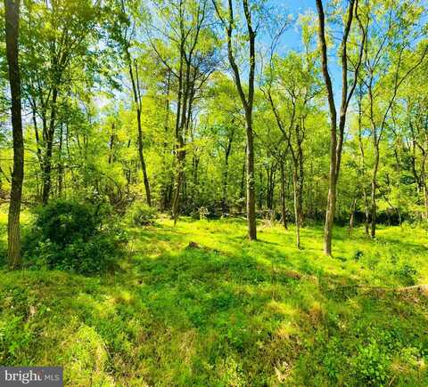 Lot: 35 PARADISE POINT, JAMES CREEK, PA 16657