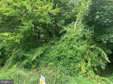 Lot 37 CHERRY LANE, PERRYVILLE, MD 21903