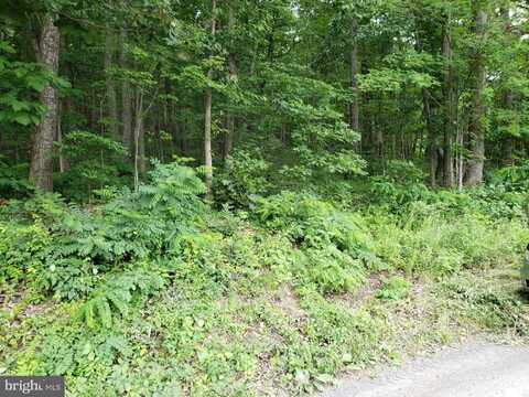 LOT 362 DRUMMER HILL ROAD, FRONT ROYAL, VA 22630