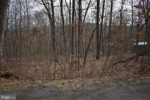 TBD MAPLE AVE AVENUE, MOUNT JACKSON, VA 22842