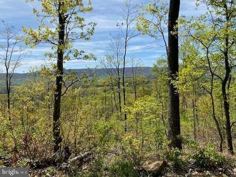 Lot 6 POLECAT HOLLOW ROAD, HOPEWELL, PA 16650