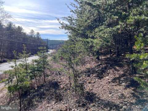 WINCHESTER GRADE ROAD, BERKELEY SPRINGS, WV 25411