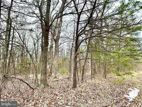 Lot 3 N TIMBER RIDGE ROAD, CROSS JUNCTION, VA 22625