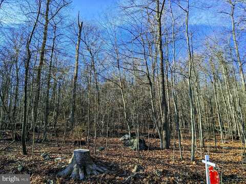 LOT 2 TREGO MOUNTAIN ROAD, KEEDYSVILLE, MD 21756