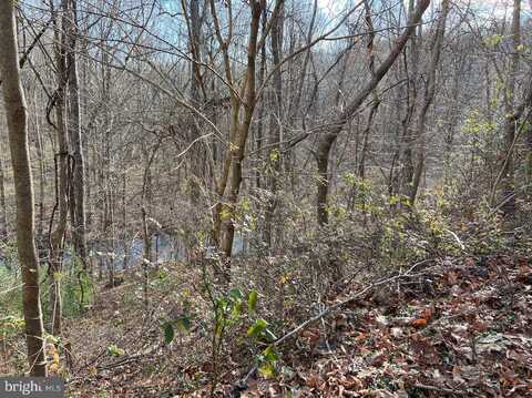 Lot 384 - Pinehurst HEMLOCK POINT ROAD, NEW MARKET, MD 21774