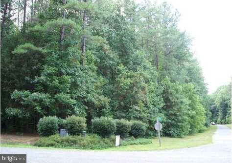 11500 RED ROCK LANE, BUMPASS, VA 23024