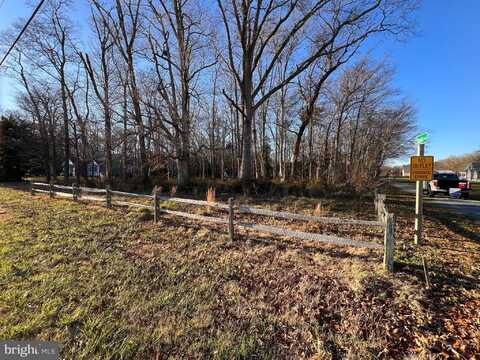 Lot 1 N PINEY NECK RD, DAGSBORO, DE 19939