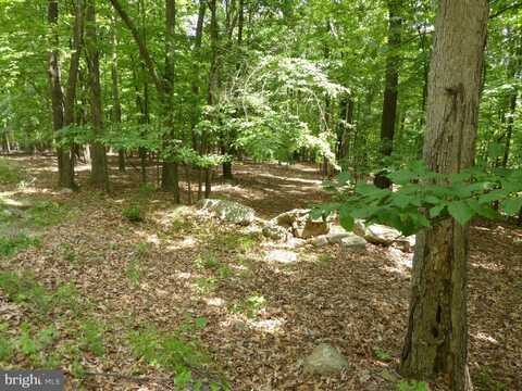 LOT 39 WILD APPLE LANE, PAW PAW, WV 25434