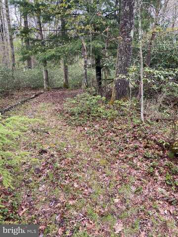 LOT 34 BLACK OAK DRIVE, OAKLAND, MD 21550