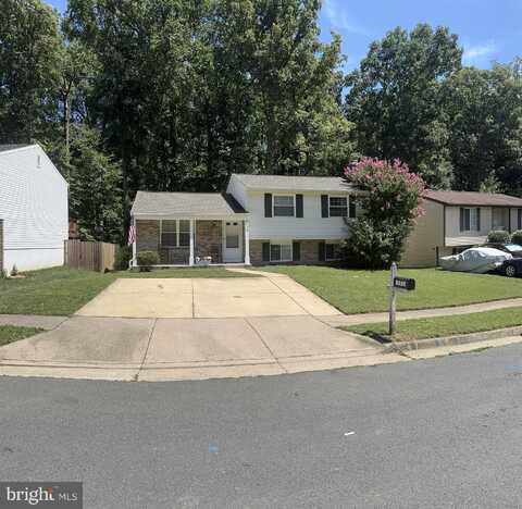 8123 WINTER BLUE COURT, SPRINGFIELD, VA 22153