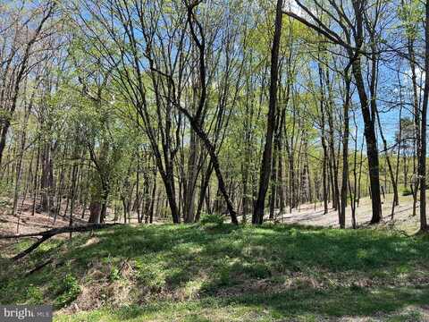 TIMBER RIDGE, BERKELEY SPRINGS, WV 25411