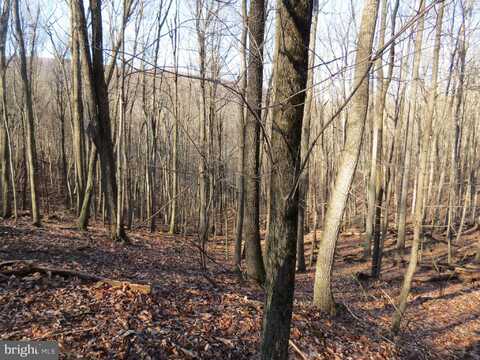 14A CEDARWOOD DRIVE ROAD, MATHIAS, WV 26812