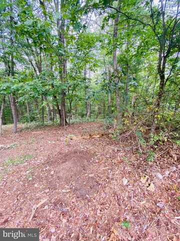 LOT 294 COTTONWOOD DRIVE, MOUNT JACKSON, VA 22842