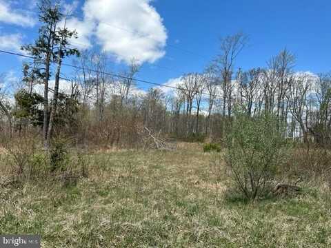 CHERRY RIDGE ROAD (LOT 7), MOUNT STORM, WV 26739