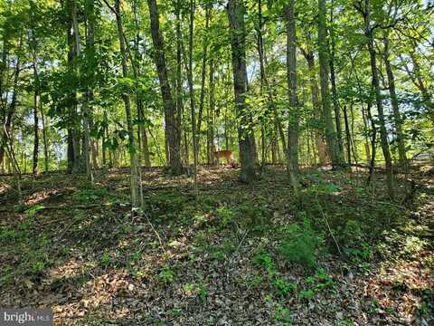 Lot 13 LIZA KATES LANE, WINCHESTER, VA 22603