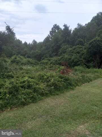 0 LEWIS ESTATES LANE - LOT 4, SPOTSYLVANIA, VA 22551