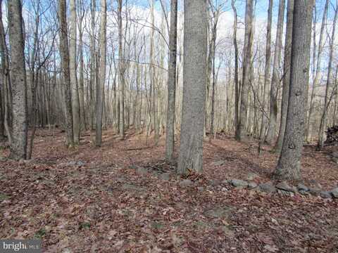 COVE RUN ACRES DRIVE, MATHIAS, WV 26812