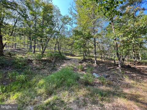 12 ELK TRAIL, WINCHESTER, VA 22602