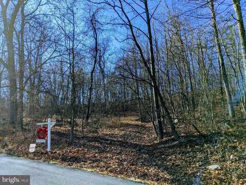 LOT 1 TREGO MOUNTAIN ROAD, KEEDYSVILLE, MD 21756