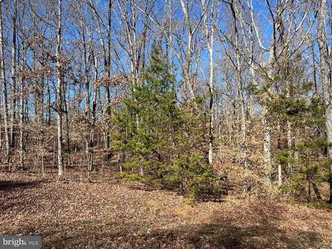 LOT 197 NOAH'S LANDING DRIVE, BUMPASS, VA 23024