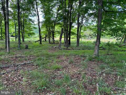 Lot 10 COON RIDGE, SCHERR, WV 26726