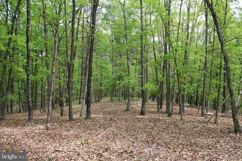 21.23 AC OAK RIDGE ROAD, SPRINGFIELD, WV 26763