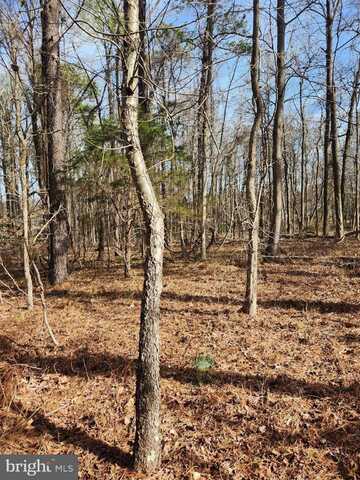 Lot 69 PLANTATION, MONTROSS, VA 22520