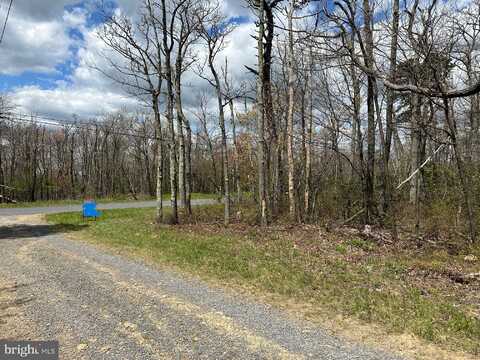 Lot 102 BOW WOOD TRAIL, WINCHESTER, VA 22602