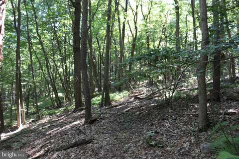 LOT 319 RIDGE RUN, CLAYSBURG, PA 16625