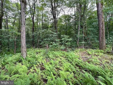 Lot 138 BELLOWS WAY ROAD, CLAYSBURG, PA 16625