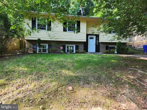 1011 ROSEMERE AVENUE, SILVER SPRING, MD 20904