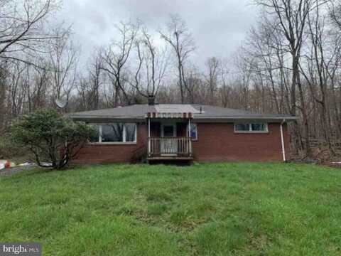 561 WILLIAMS AVENUE, ROCHESTER, PA 15074