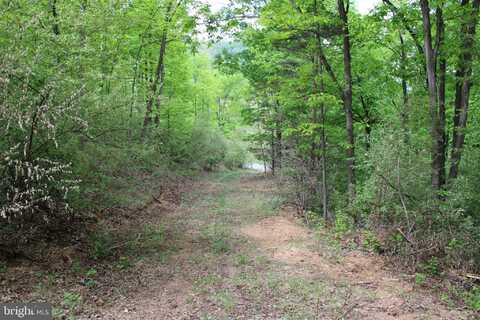 10.172 AC PROCTOR ROAD, PURGITSVILLE, WV 26852