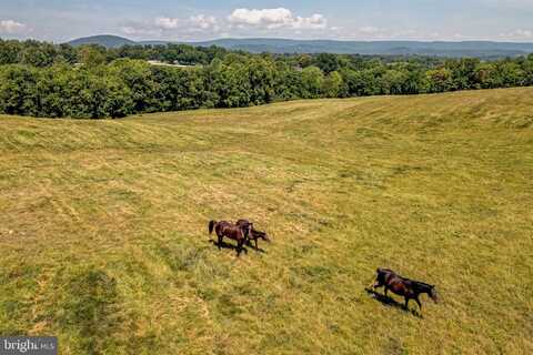 WINCHESTER ROAD, DELAPLANE, VA 20144