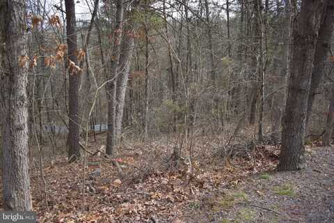 TBD COTTONWOOD RD, MOUNT JACKSON, VA 22842