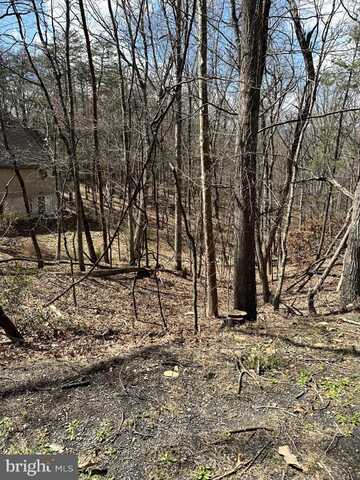 Lot 45 DELORIS, BASYE, VA 22810