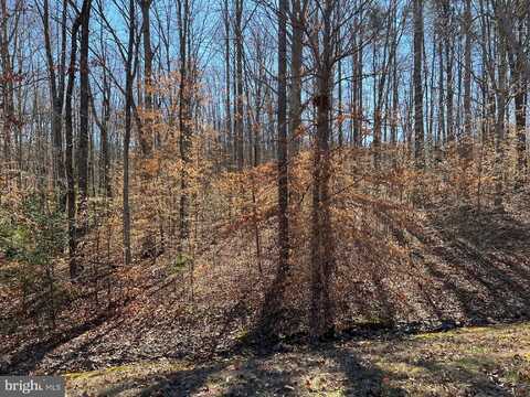 LOT 97 NOAH'S LANDING DRIVE, BUMPASS, VA 23024