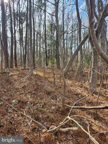 Lot 104 AMERICAN DRIVE, MONTROSS, VA 22520