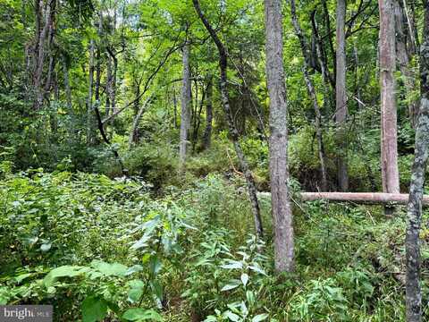 SOUTH FORK ROAD, MOOREFIELD, WV 26836