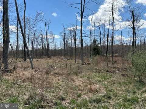 CHERRY RIDGE ROAD (LOT 2), MOUNT STORM, WV 26739