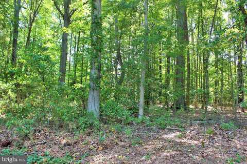 LONG LEAF LANE, LEONARDTOWN, MD 20650