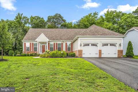 38517 BLUE HEN DRIVE, SELBYVILLE, DE 19975