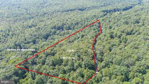 Lot 1 BETTS LANE, OAKLAND, MD 21550