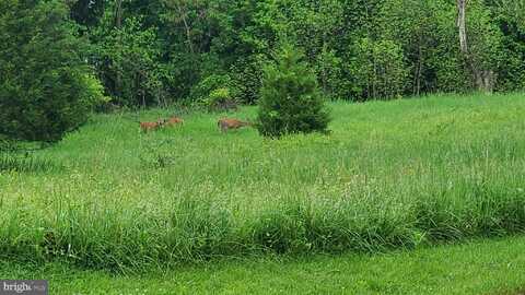 HEATHER LANE, SHEPHERDSTOWN, WV 25443