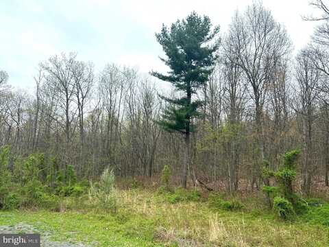 Lot #18 RIDGE WAY DRIVE, EVERETT, PA 15537